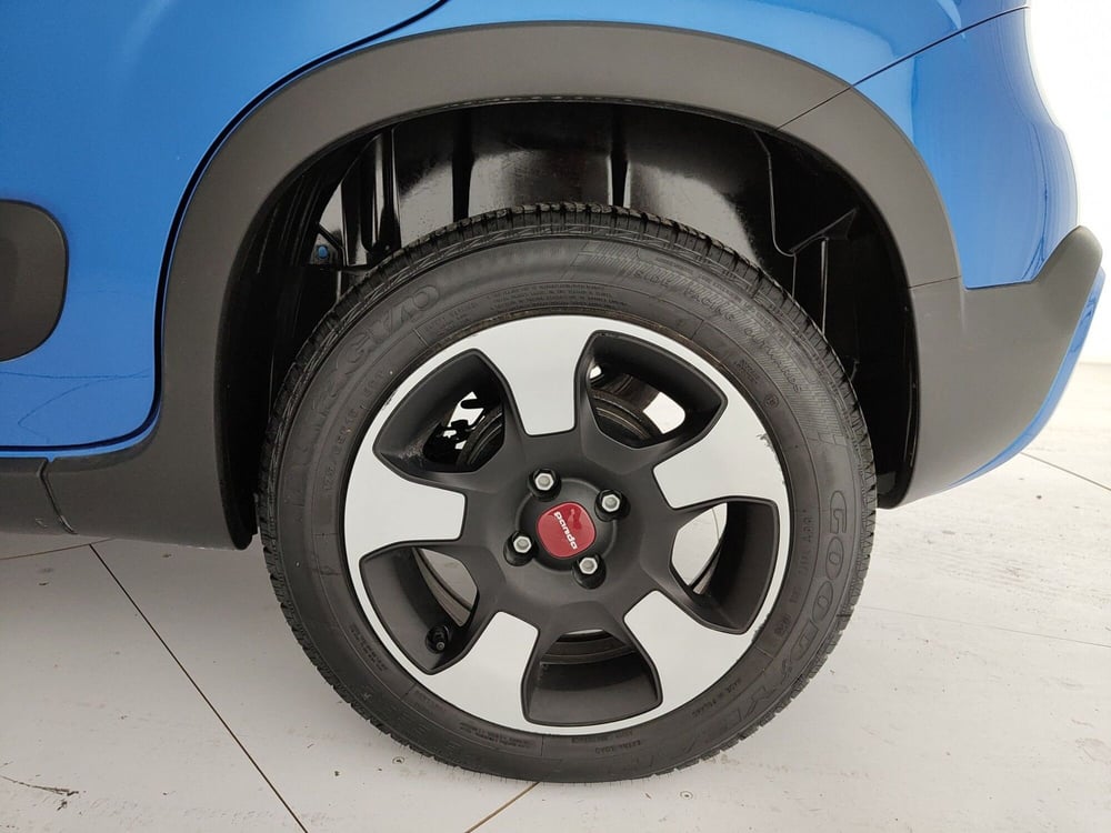Fiat Panda Cross usata a Caserta (11)