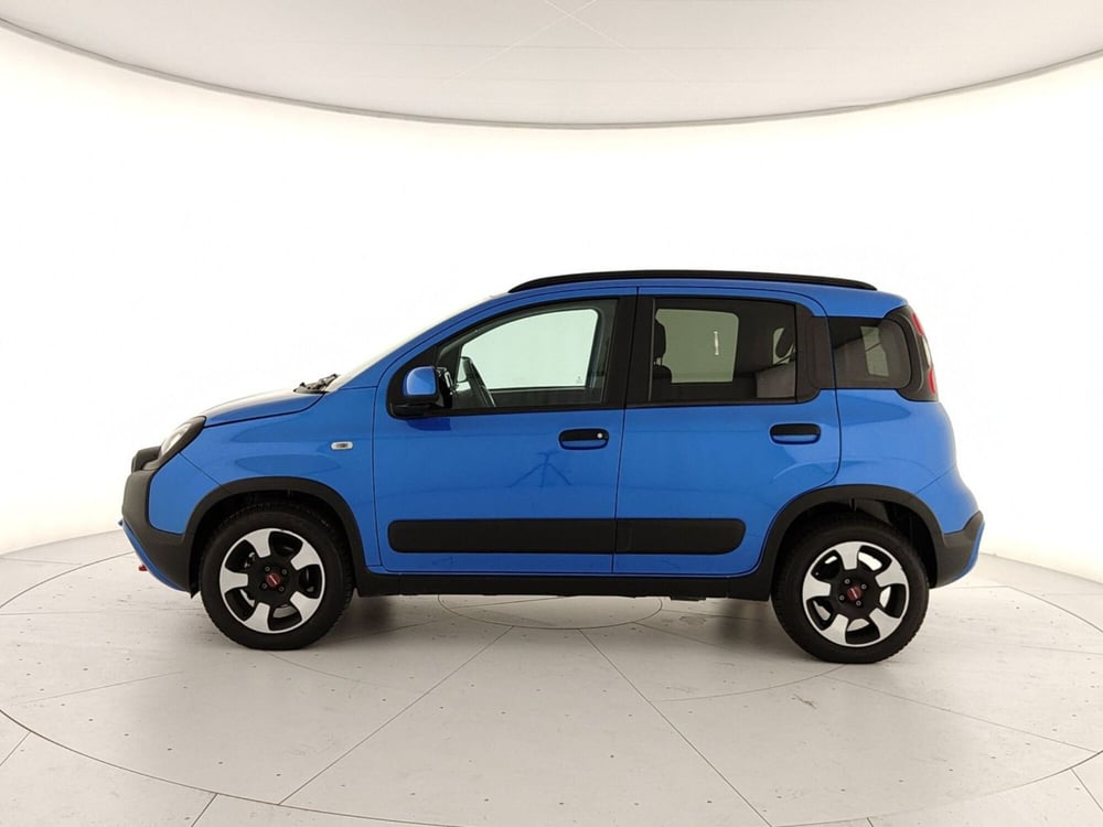 Fiat Panda Cross usata a Caserta (8)
