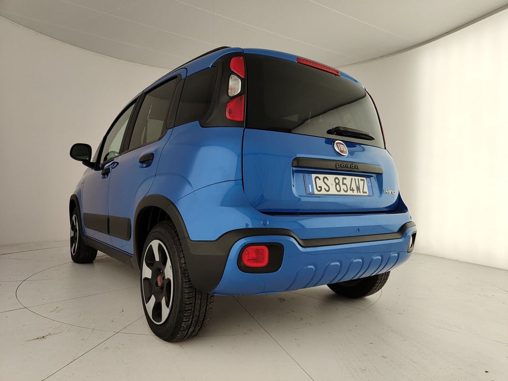 Fiat Panda Cross usata a Caserta (9)