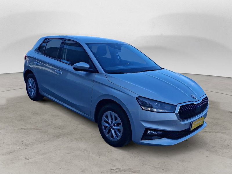 Skoda Fabia usata a Ancona (8)