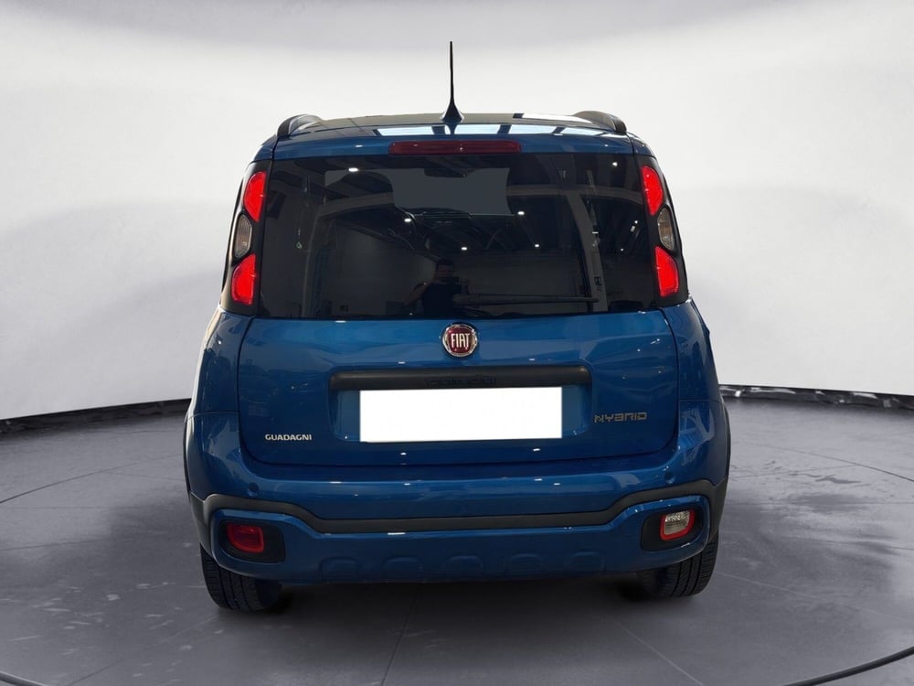 Fiat Panda Cross usata a Agrigento (4)