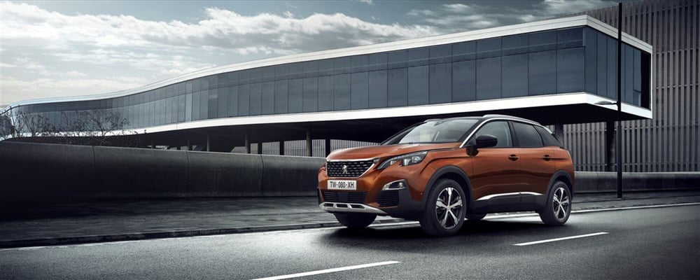 Peugeot 3008 usata a Reggio Emilia (4)