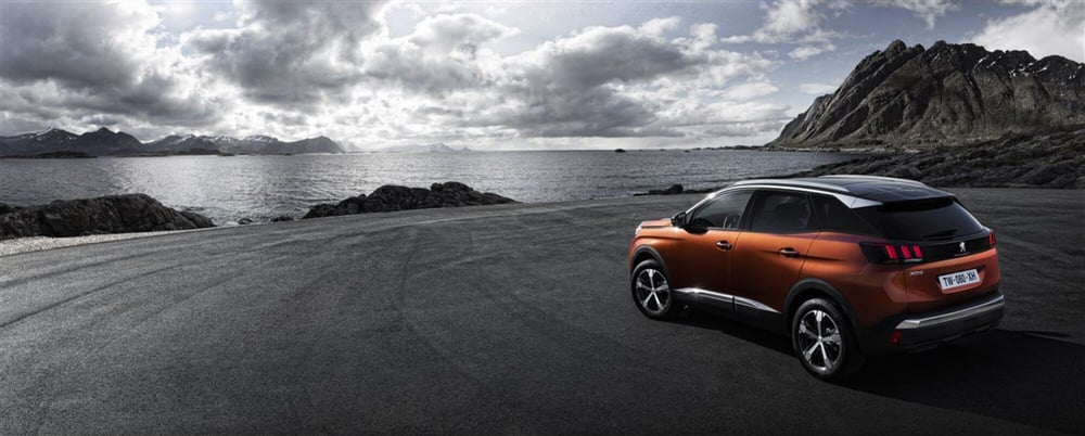 Peugeot 3008 usata a Reggio Emilia (6)