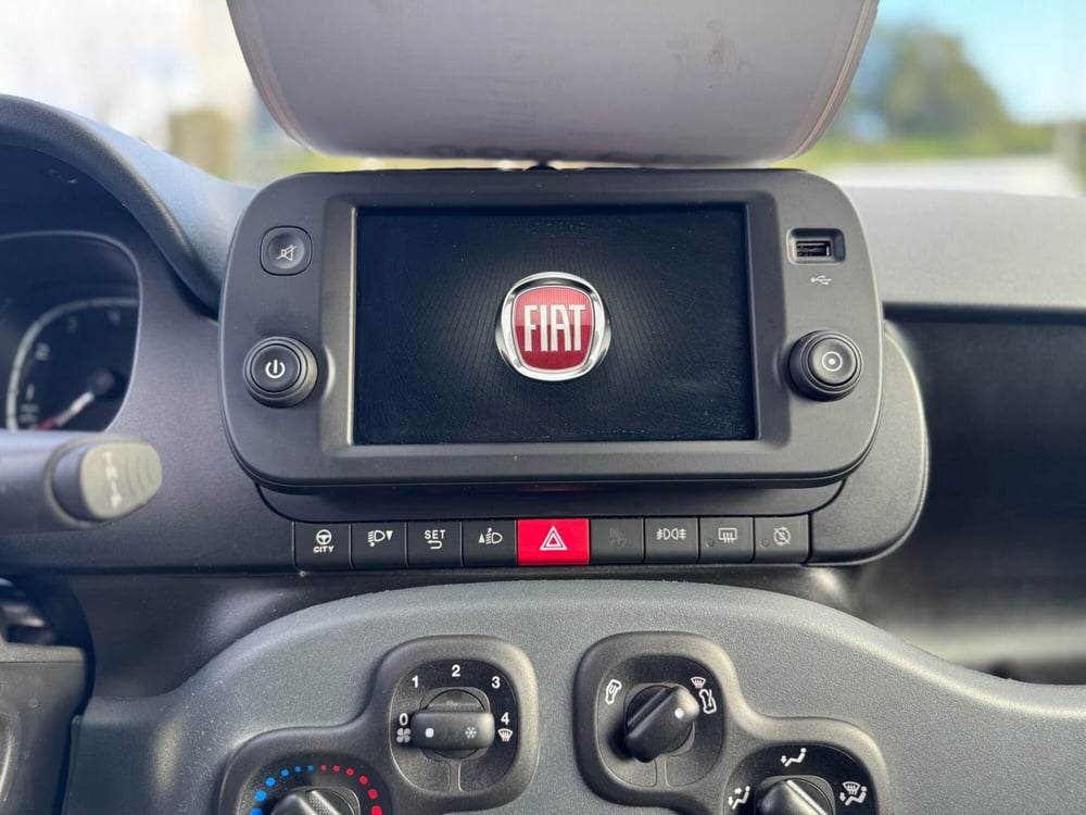 Fiat Panda Cross usata a Salerno (10)