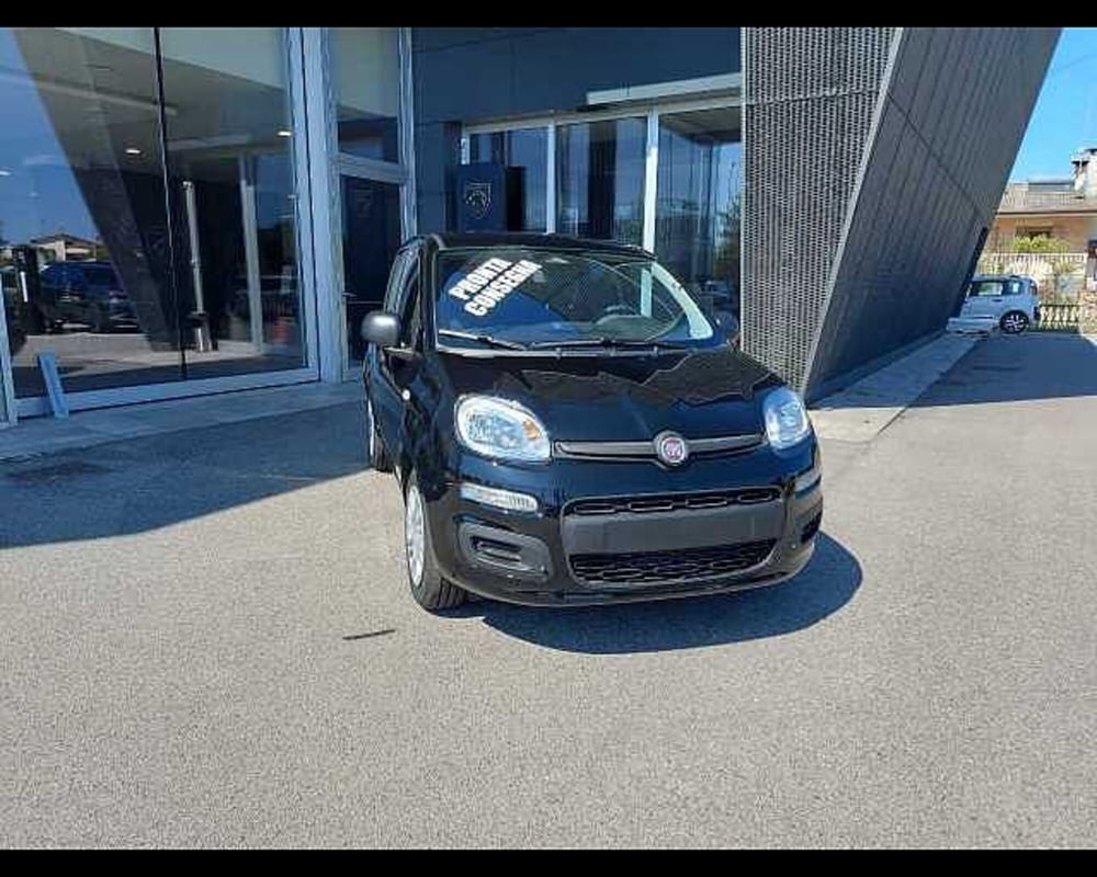 Fiat Panda nuova a Venezia (2)