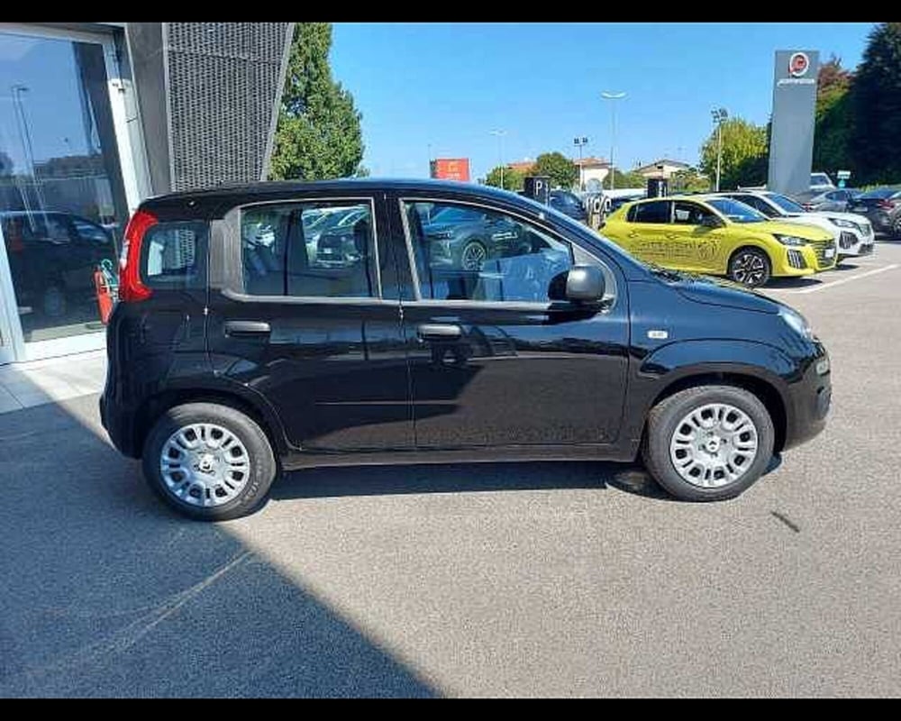 Fiat Panda nuova a Venezia (5)