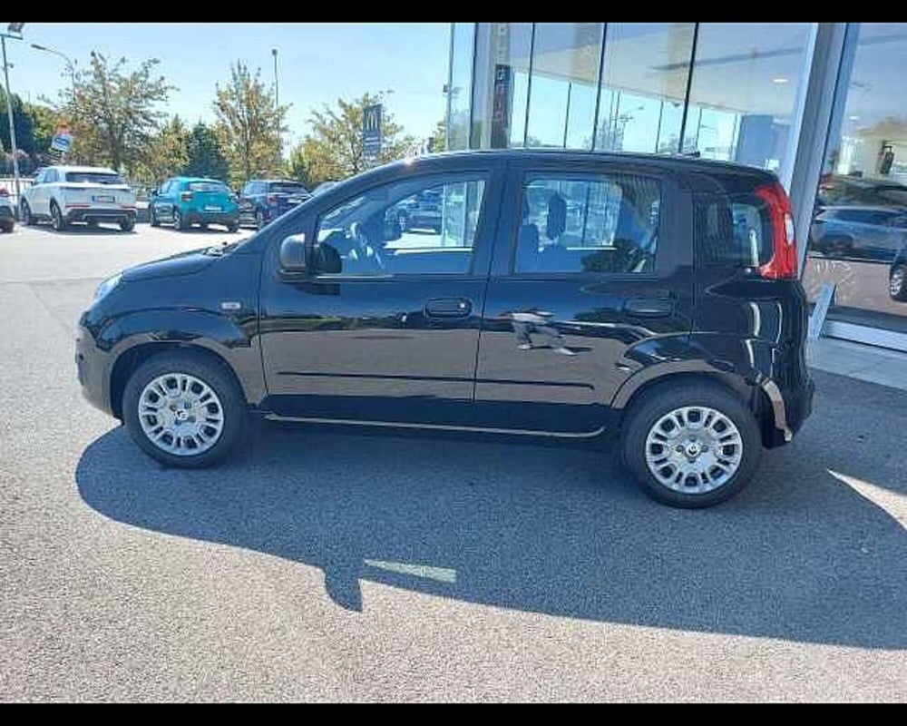 Fiat Panda nuova a Venezia (6)