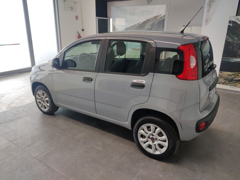 Fiat Panda usata a Arezzo (4)