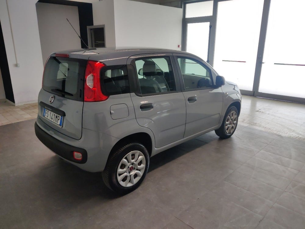 Fiat Panda usata a Arezzo (6)