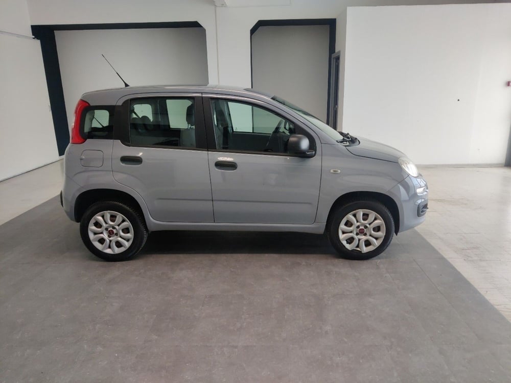Fiat Panda usata a Arezzo (8)