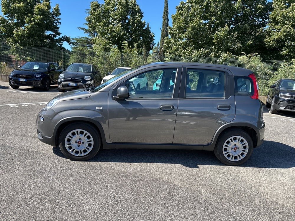 Fiat Panda usata a Latina (7)