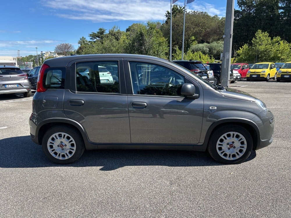 Fiat Panda usata a Latina (8)