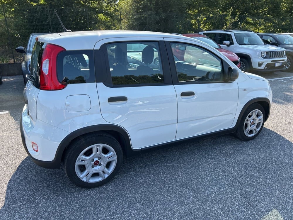 Fiat Panda nuova a Roma (6)