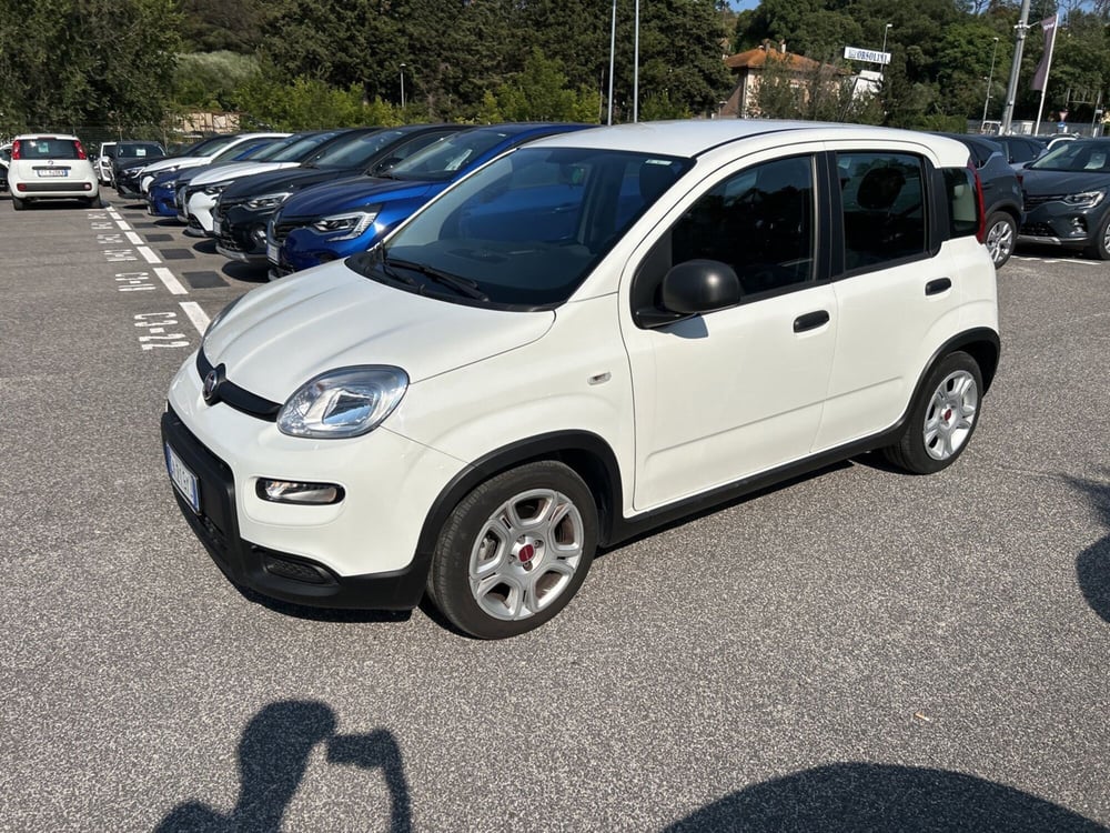 Fiat Panda nuova a Roma (8)