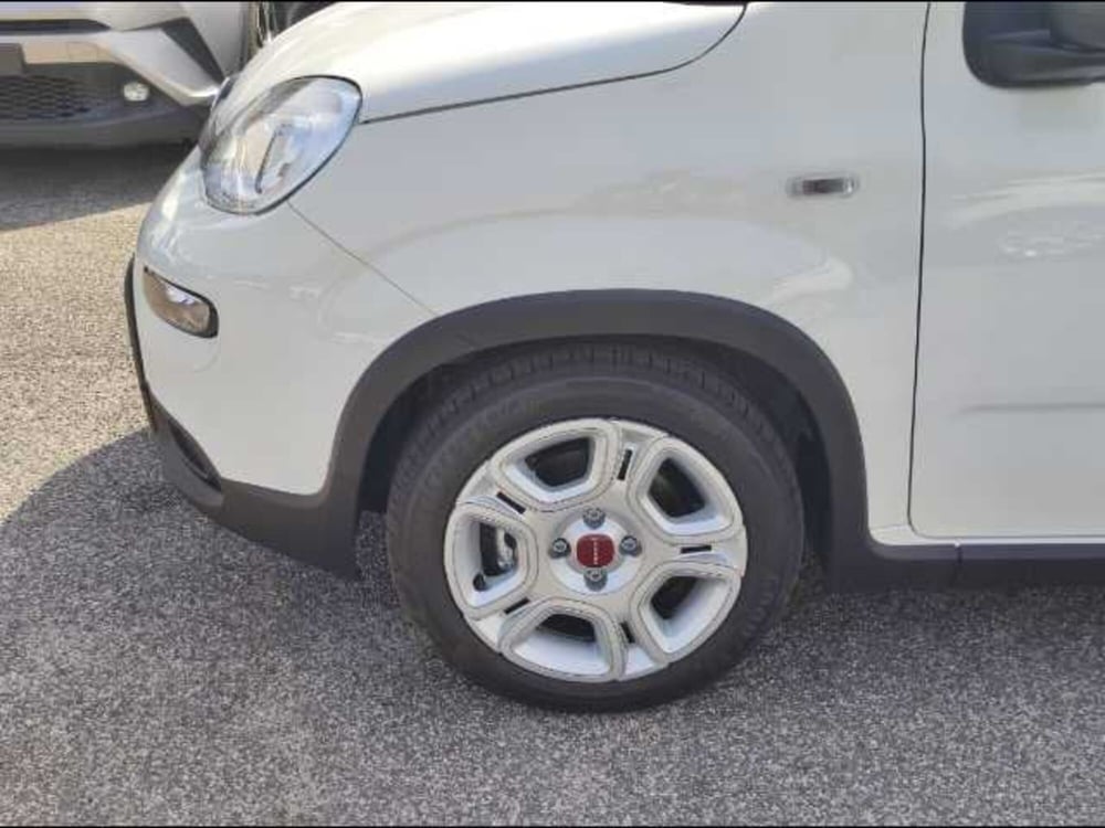 Fiat Panda nuova a Roma (15)