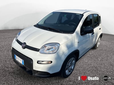 Fiat Panda 1.0 firefly hybrid s&amp;s 70cv 5p.ti del 2023 usata a Roma