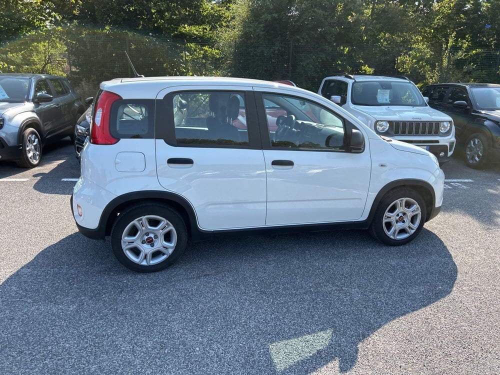 Fiat Panda usata a Roma (6)