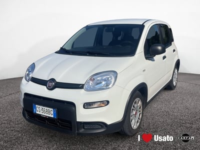 Fiat Panda 1.0 firefly hybrid s&amp;s 70cv 5p.ti del 2023 usata a Roma