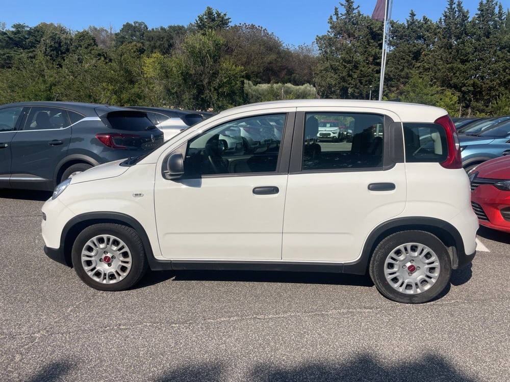 Fiat Panda usata a Roma (7)