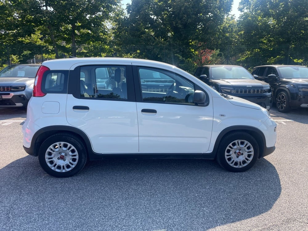 Fiat Panda usata a Roma (8)