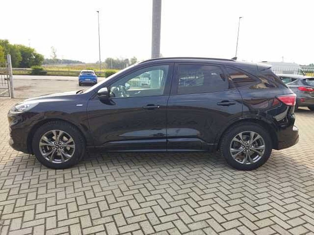 Ford Kuga usata a Torino (3)