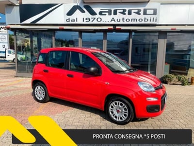 Fiat Panda 1.0 firefly hybrid s&amp;s 70cv 5p.ti del 2021 usata a Boves