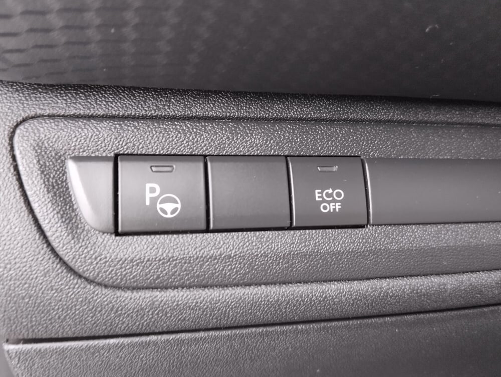 Peugeot 2008 usata a Asti (8)
