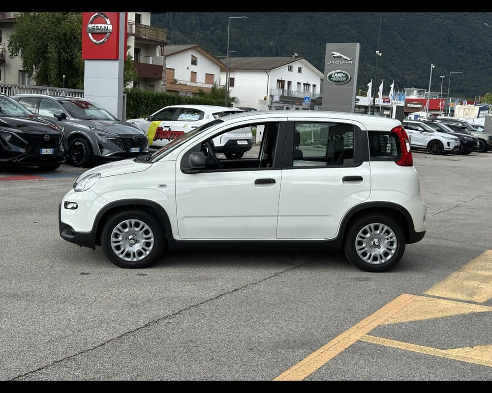 Fiat Panda Cross nuova a Treviso (5)