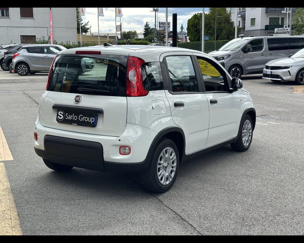 Fiat Panda Cross nuova a Treviso (8)