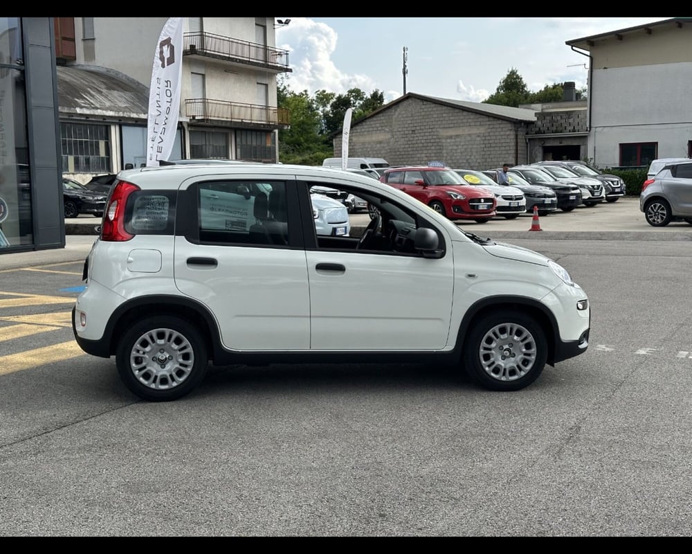 Fiat Panda Cross nuova a Treviso (9)