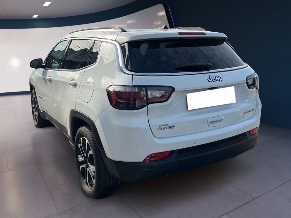 Jeep Compass usata a Torino (6)