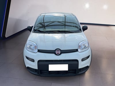 Fiat Panda 1.0 firefly hybrid s&amp;s 70cv 5p.ti del 2024 usata a Torino