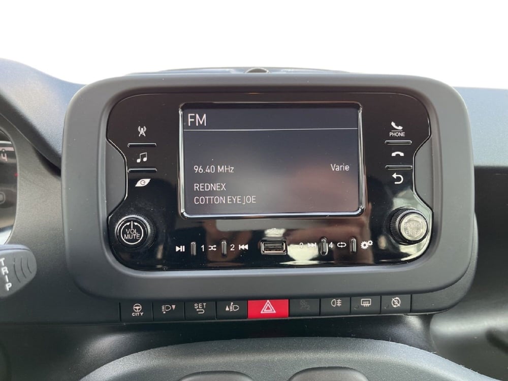 Fiat Panda usata a Torino (14)
