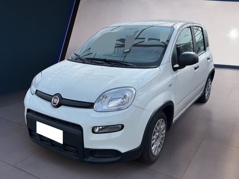 Fiat Panda usata a Torino (2)