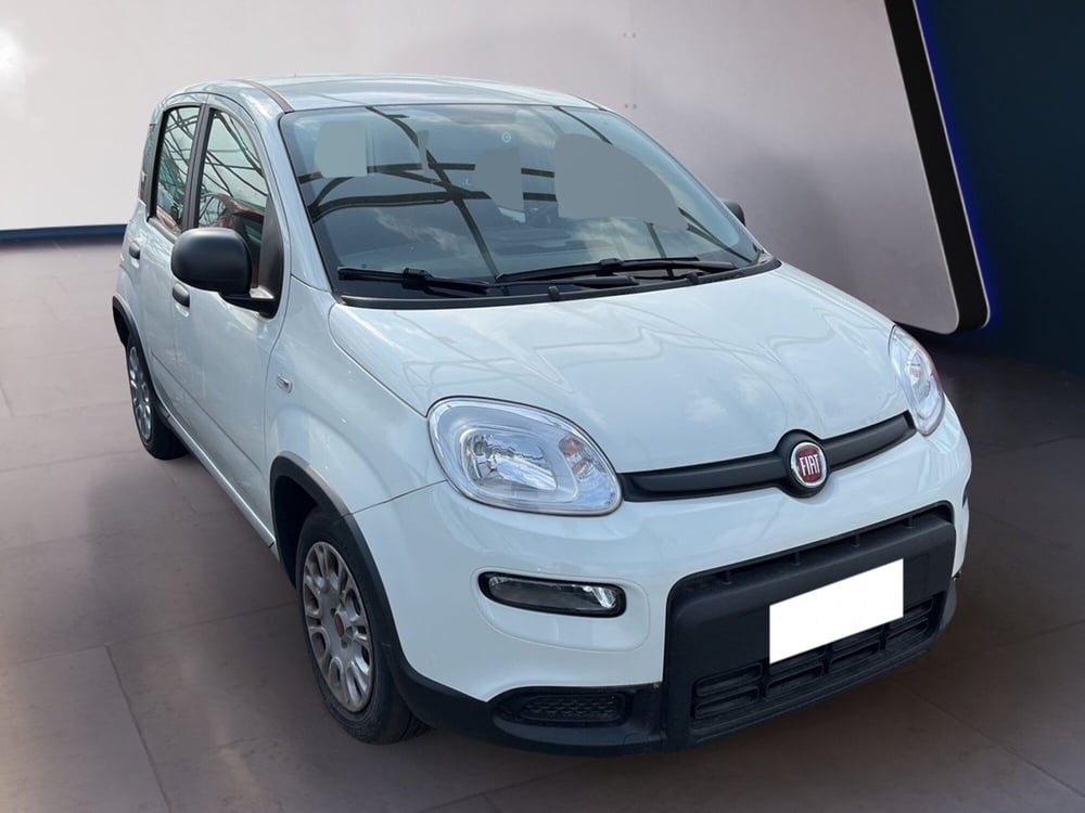Fiat Panda usata a Torino (3)