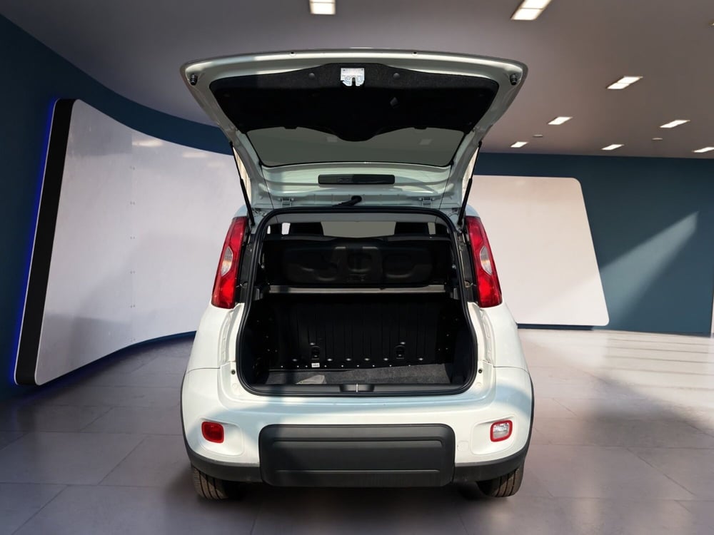 Fiat Panda usata a Torino (7)