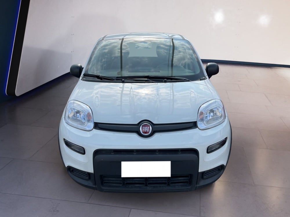 Fiat Panda usata a Torino