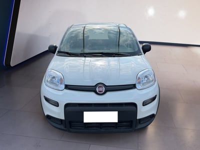 Fiat Panda 1.0 firefly hybrid s&amp;s 70cv 5p.ti del 2024 usata a Torino