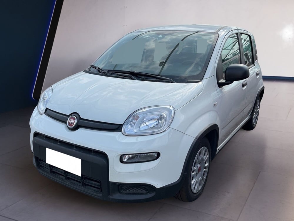 Fiat Panda usata a Torino (2)