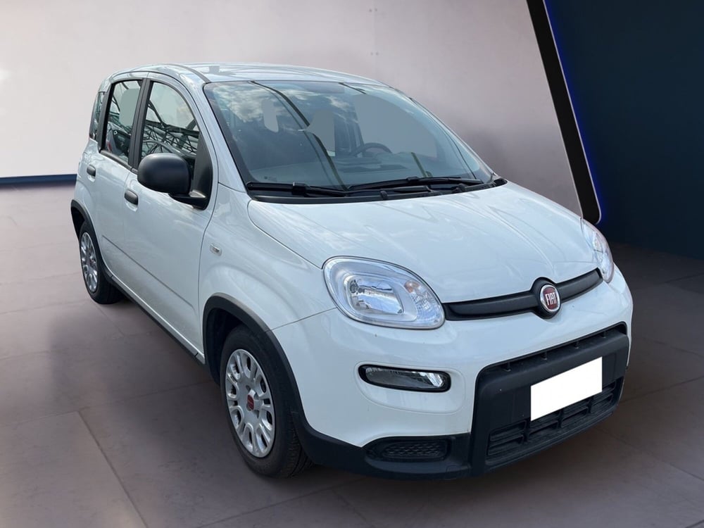 Fiat Panda usata a Torino (3)