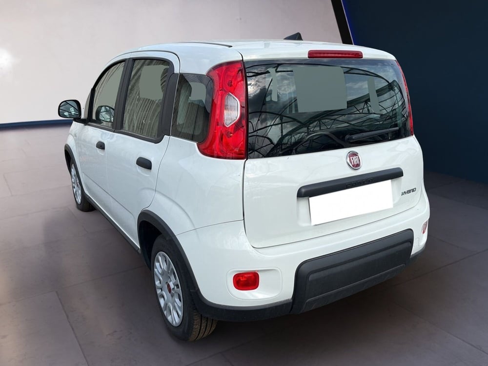 Fiat Panda usata a Torino (4)