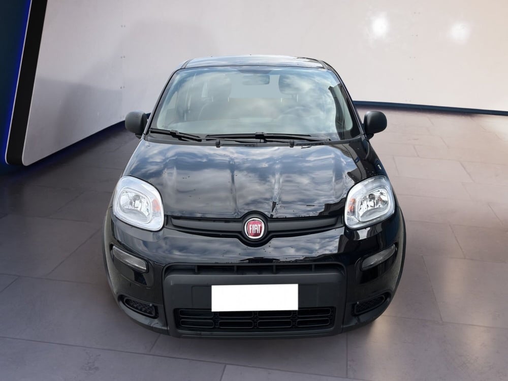 Fiat Panda usata a Torino
