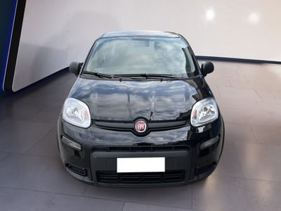Fiat Panda 1.0 firefly hybrid s&amp;s 70cv 5p.ti del 2024 usata a Torino