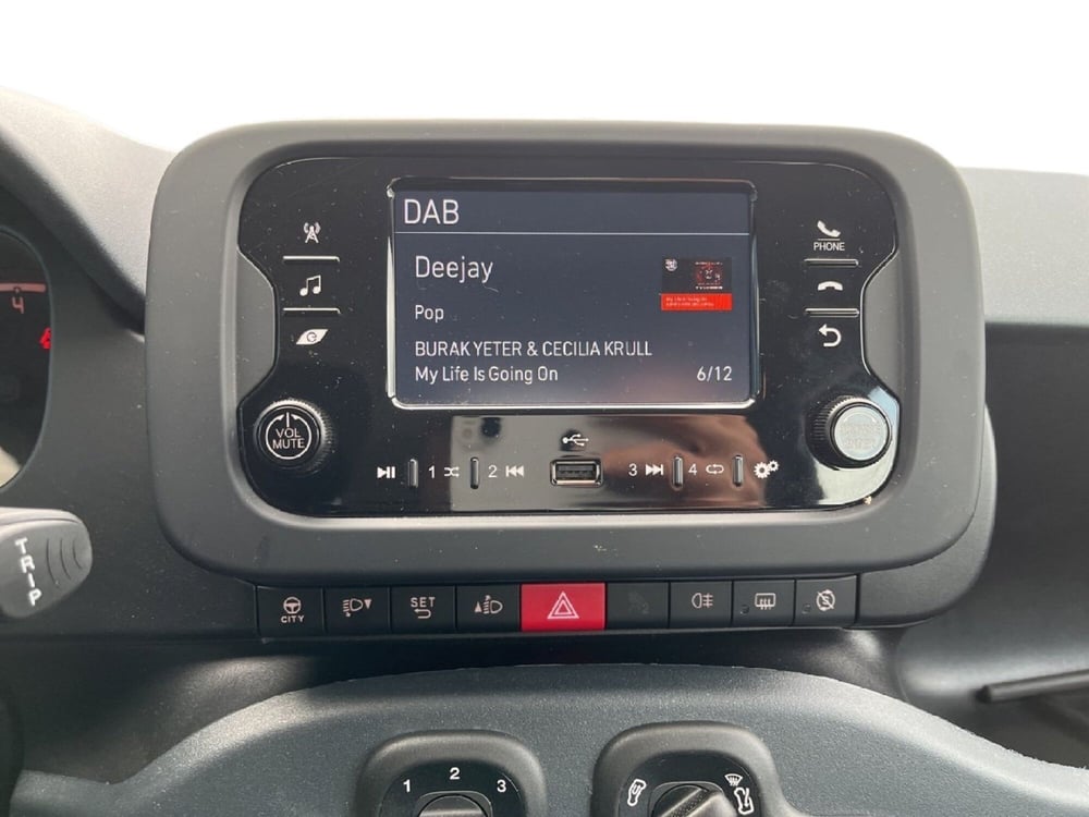 Fiat Panda usata a Torino (14)