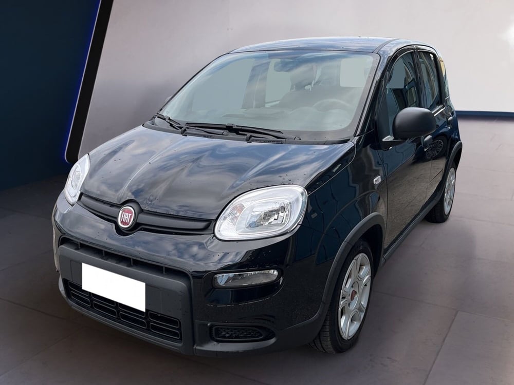 Fiat Panda usata a Torino (2)