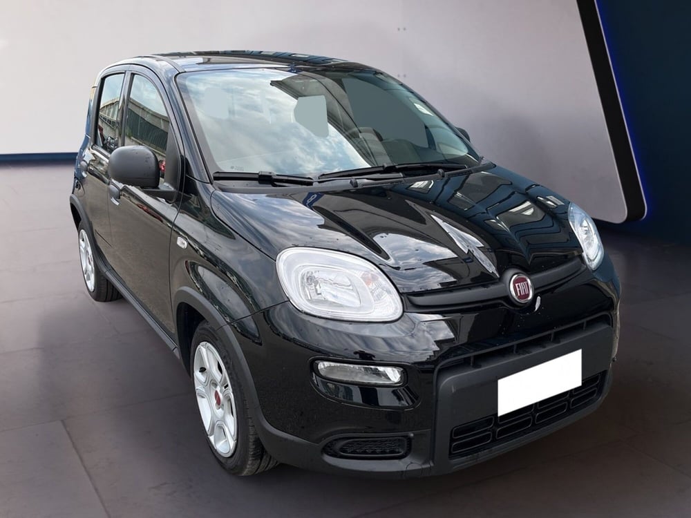 Fiat Panda usata a Torino (3)