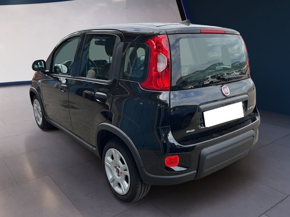 Fiat Panda usata a Torino (5)