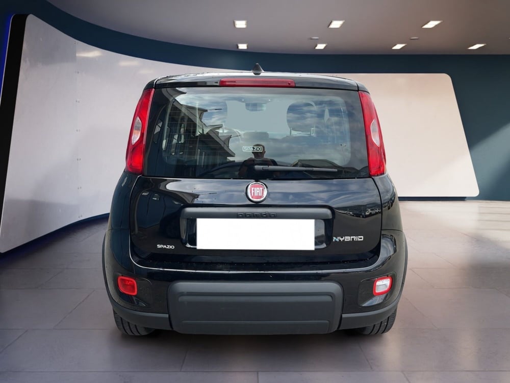 Fiat Panda usata a Torino (6)