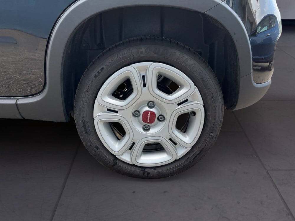 Fiat Panda usata a Torino (8)
