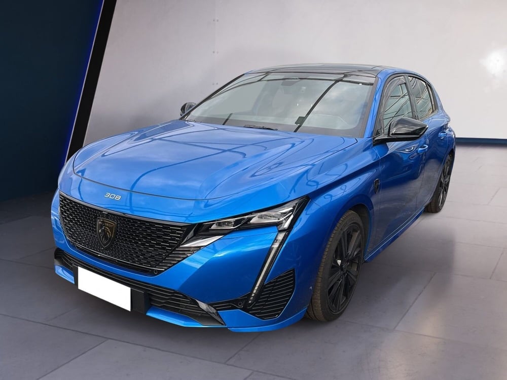 Peugeot 308 SW usata a Torino (2)